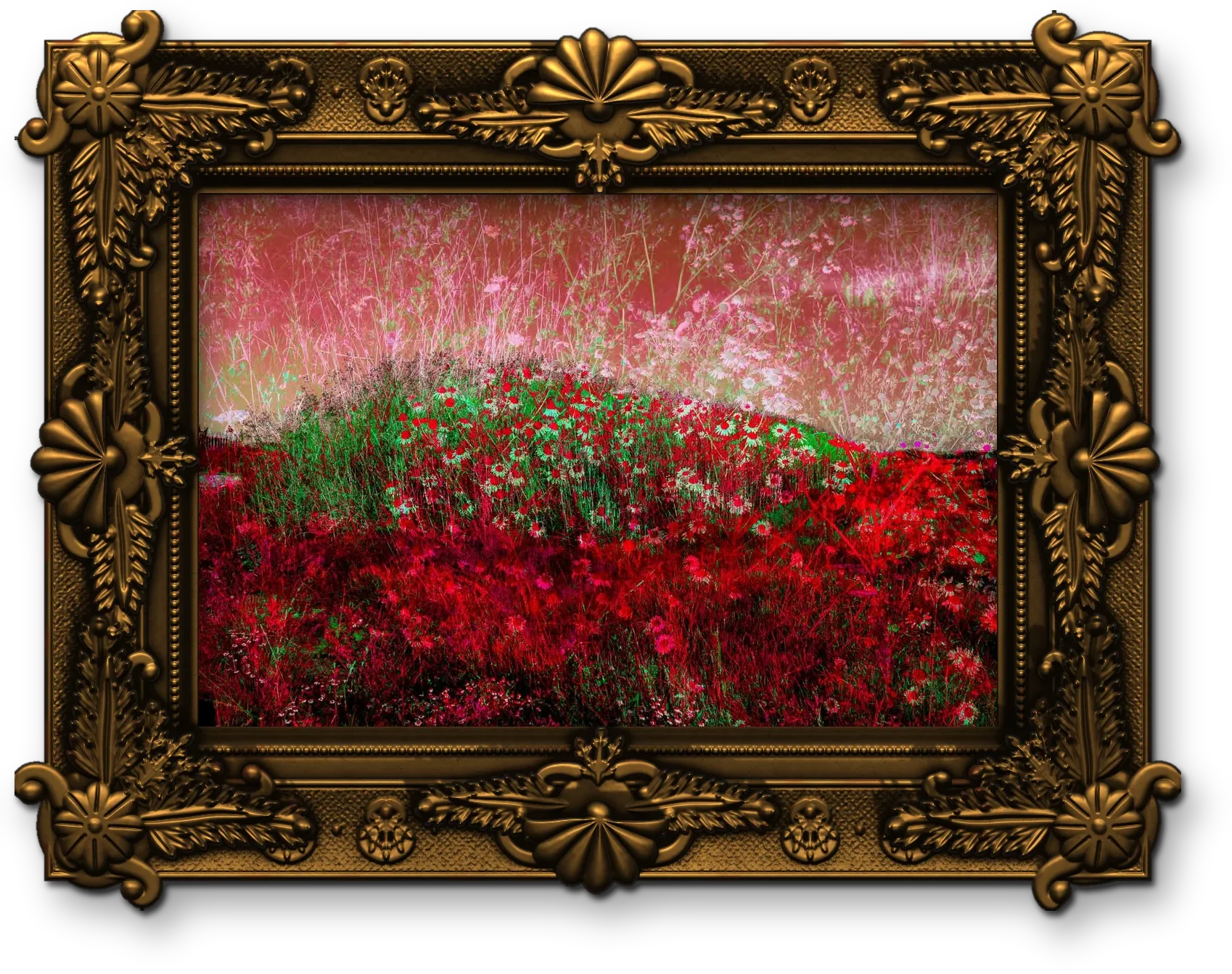 Flower hill, framed